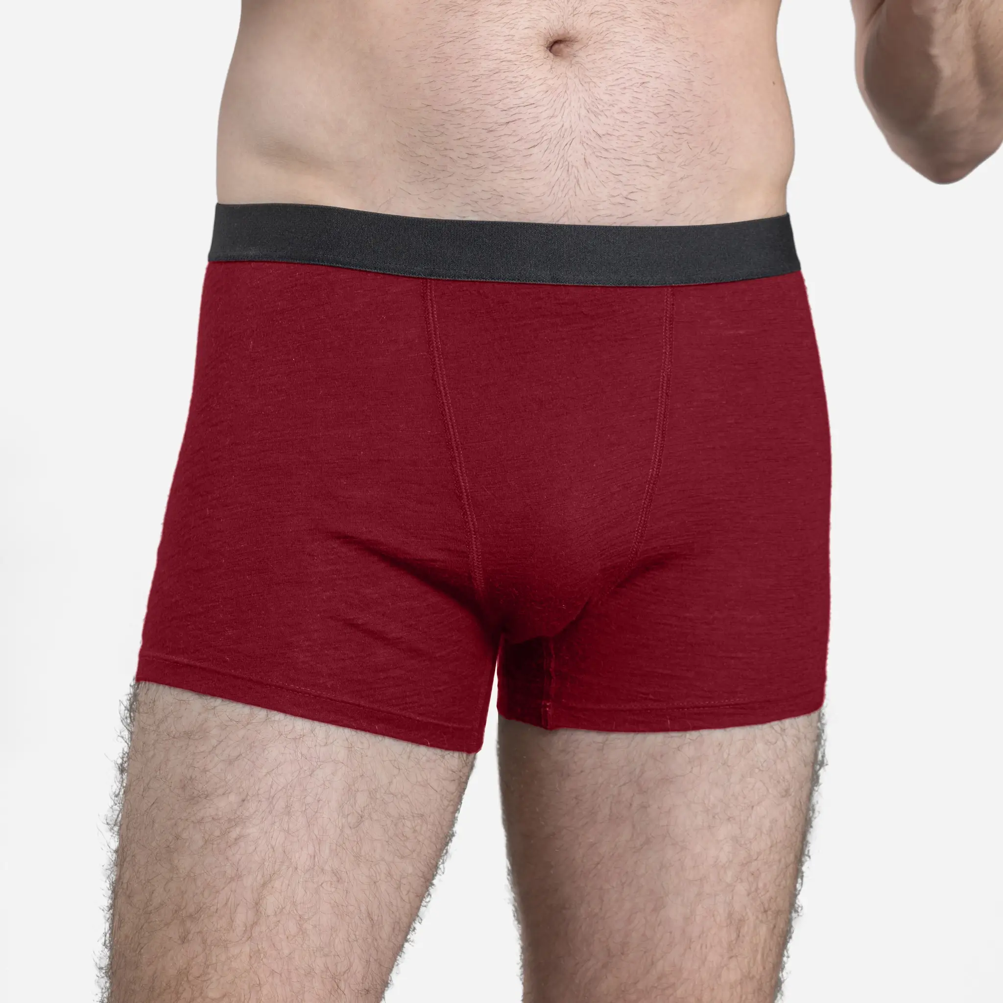 Men's Alpaca Wool Boxer Briefs: 160 Ultralight - Image 13