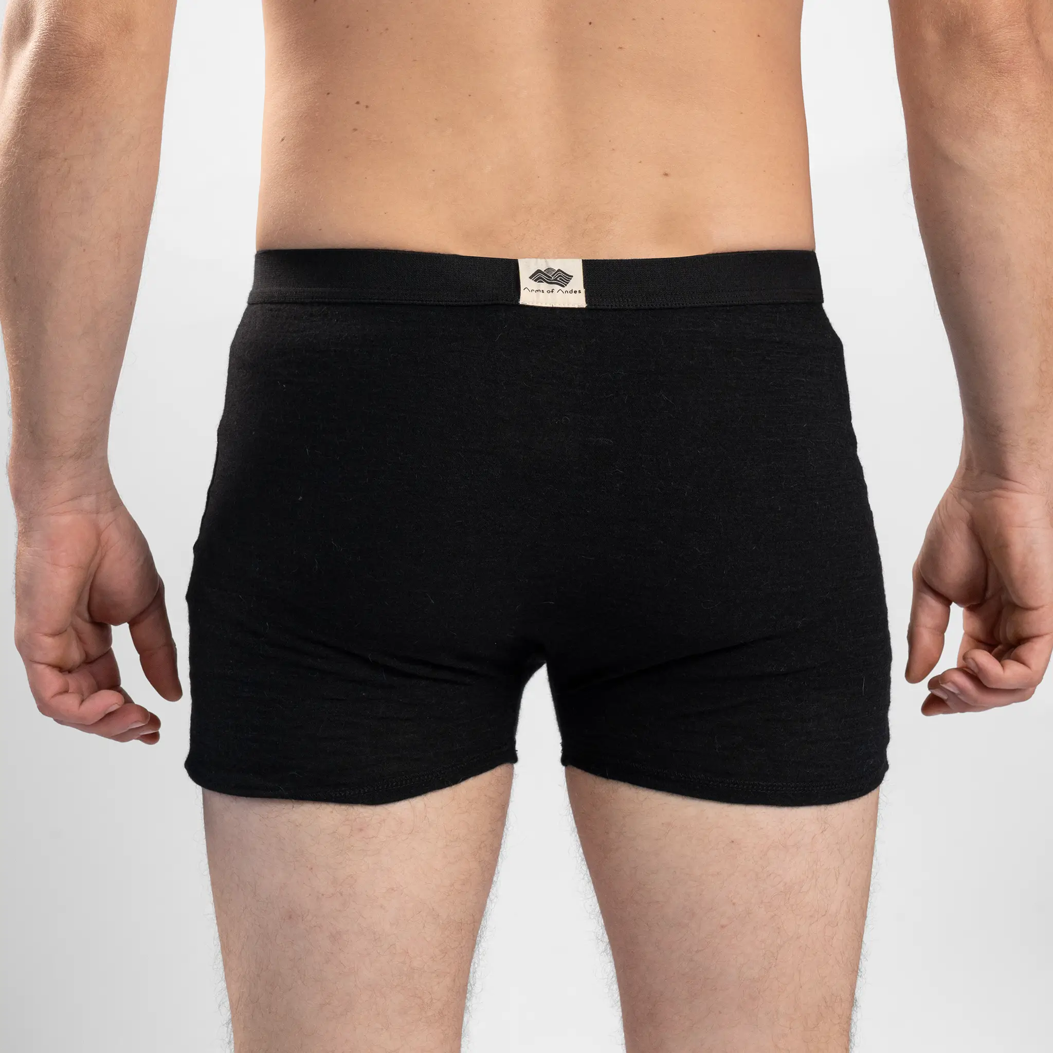 Men's Alpaca Wool Boxer Briefs: 160 Ultralight - Image 20