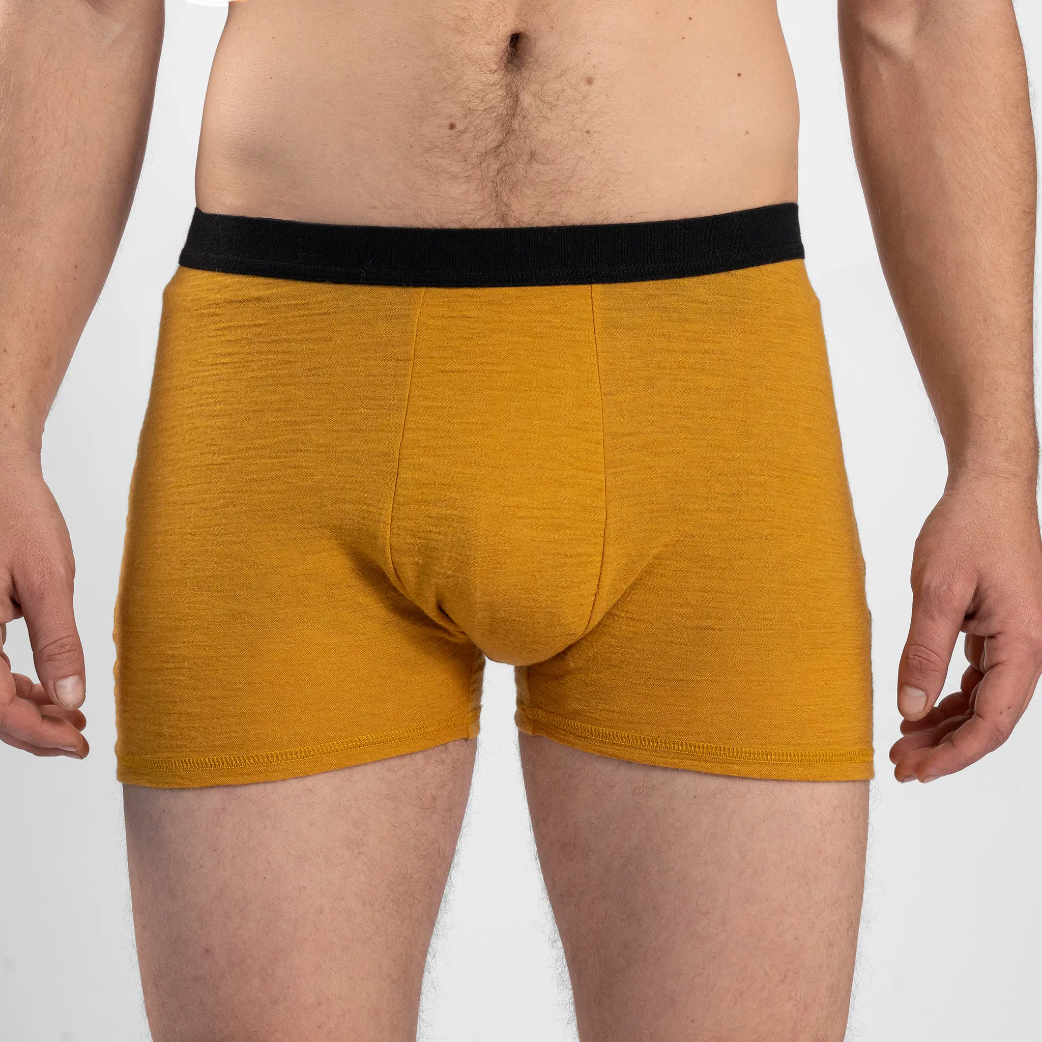 Men's Alpaca Wool Boxer Briefs: 160 Ultralight - Image 22