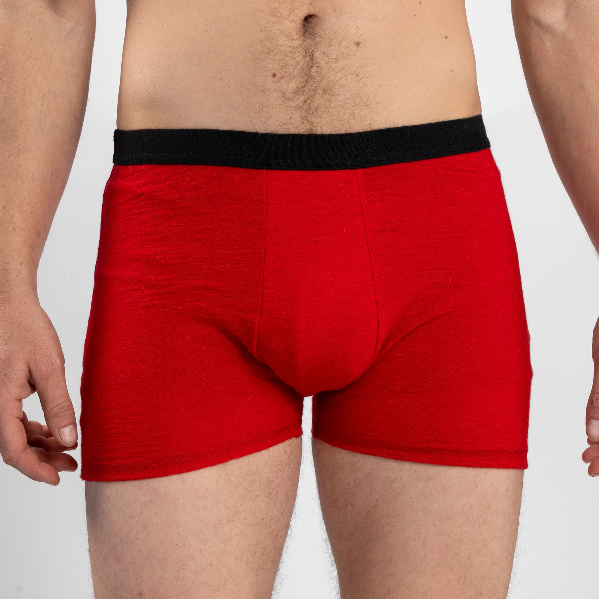 Men's Alpaca Wool Boxer Briefs: 160 Ultralight - Image 42