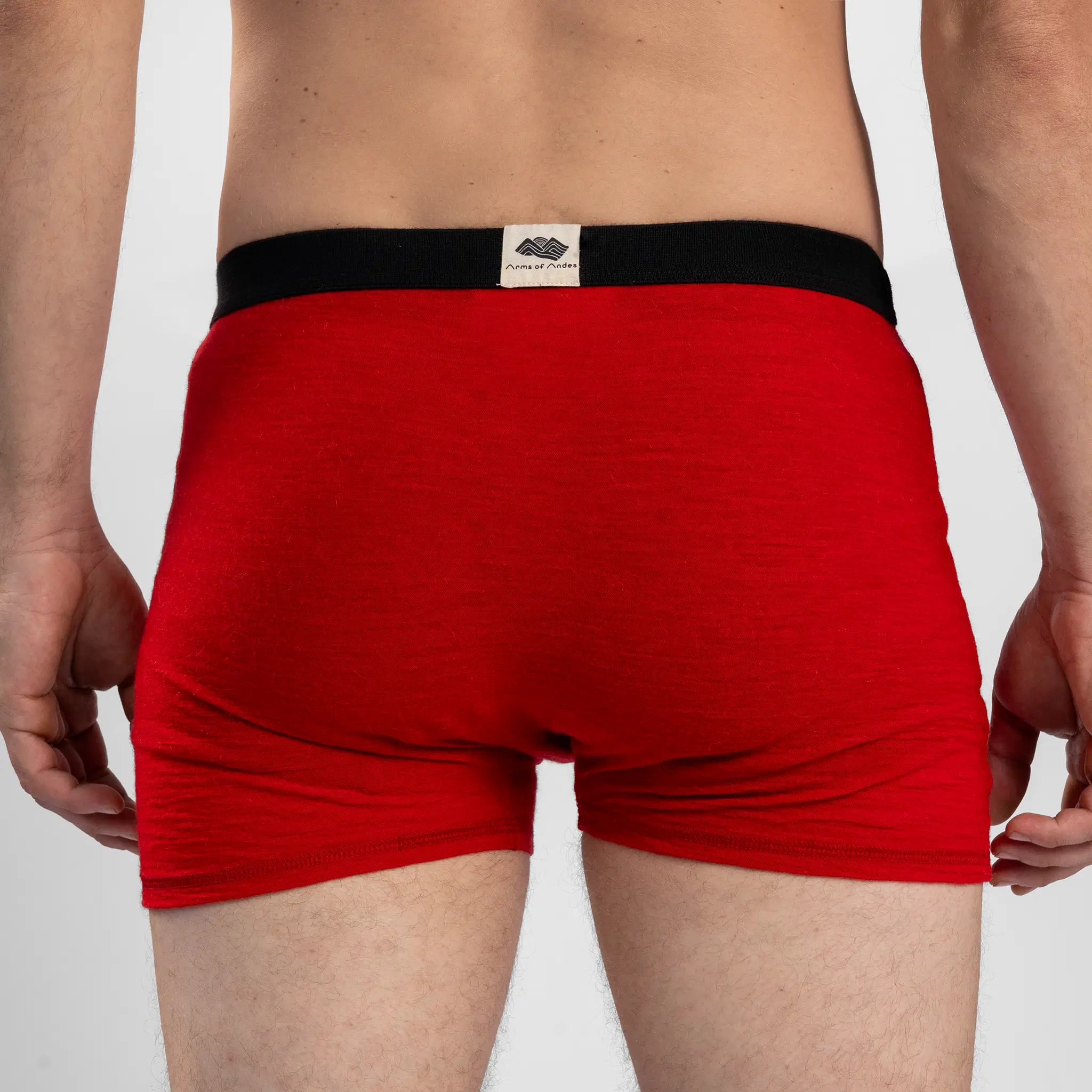 Men's Alpaca Wool Boxer Briefs: 160 Ultralight - Image 44