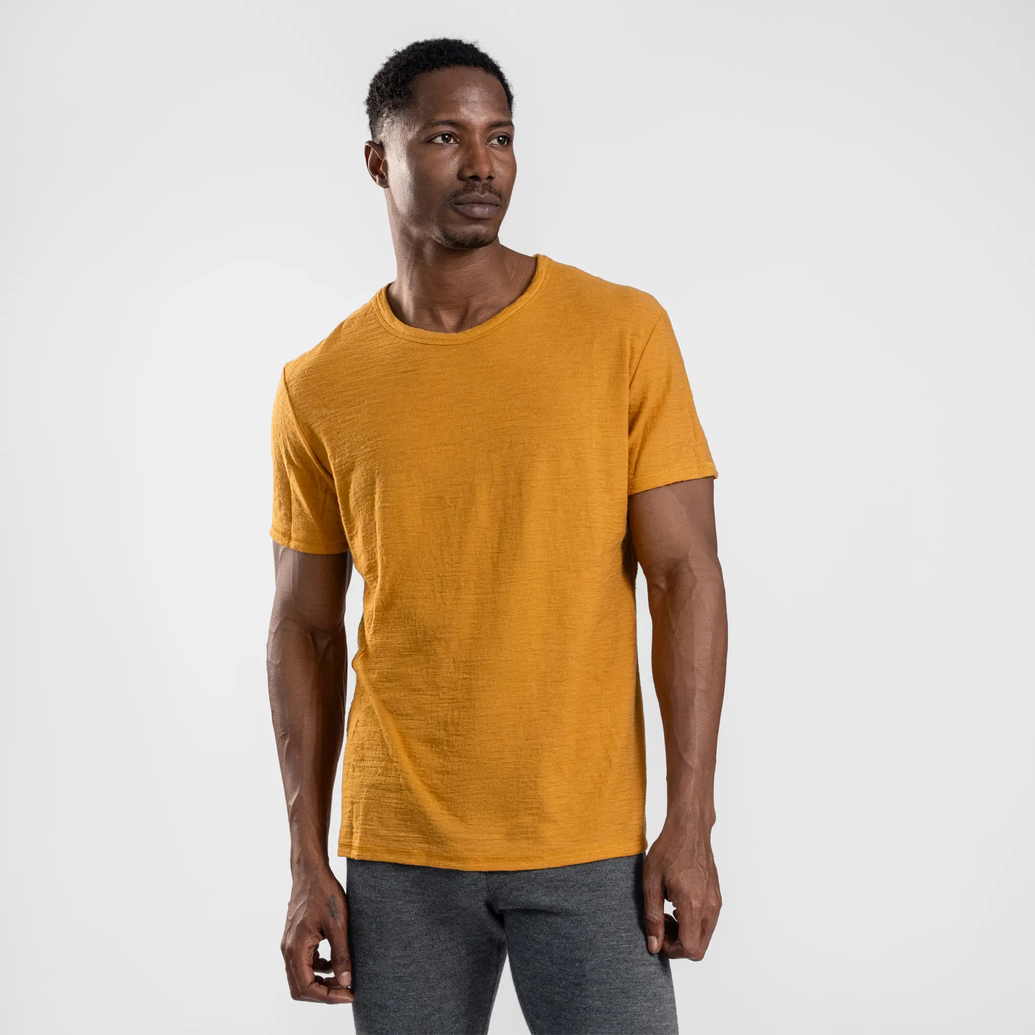 Men's Alpaca Wool T-Shirt: 160 Ultralight Crew Neck - Image 49