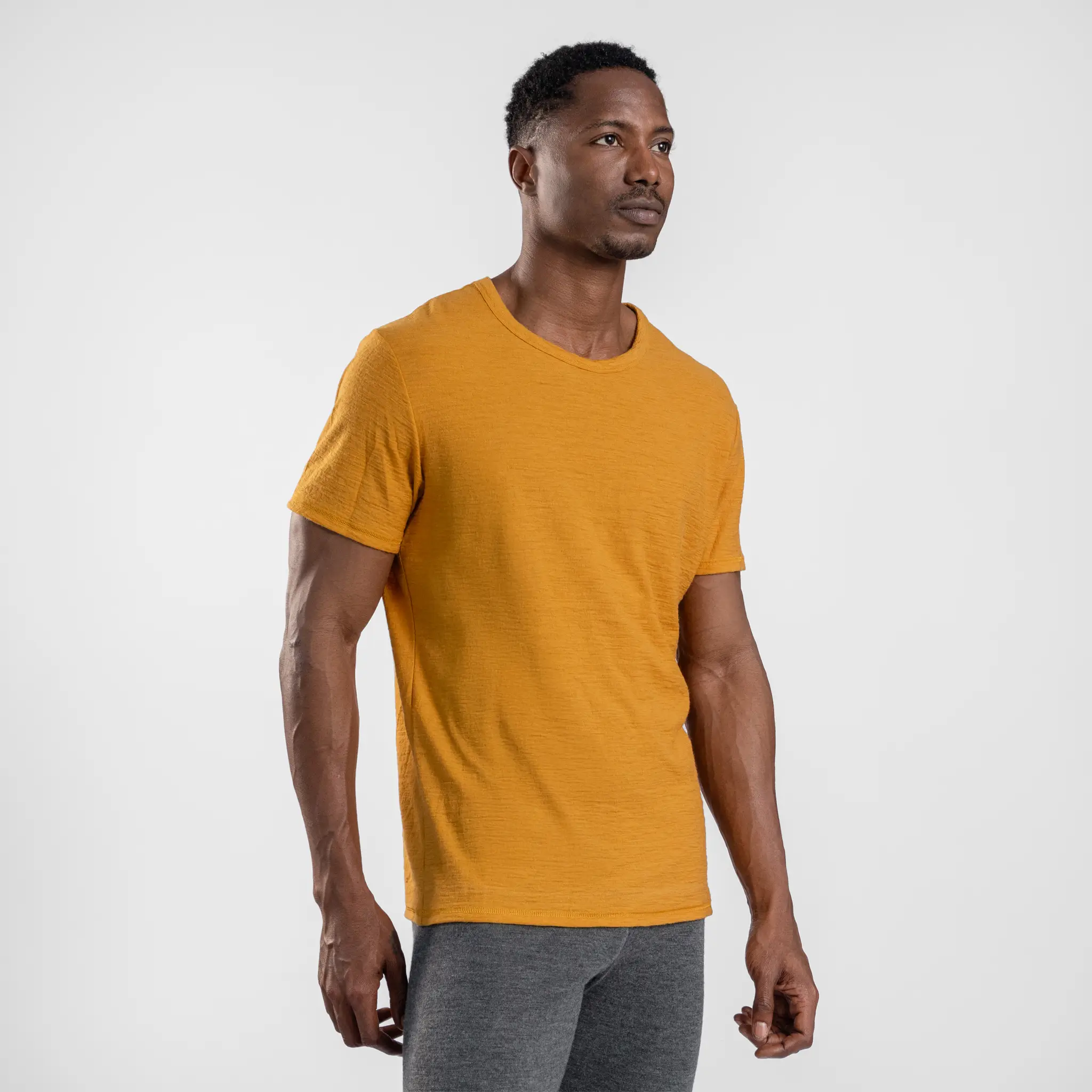 Men's Alpaca Wool T-Shirt: 160 Ultralight Crew Neck - Image 50