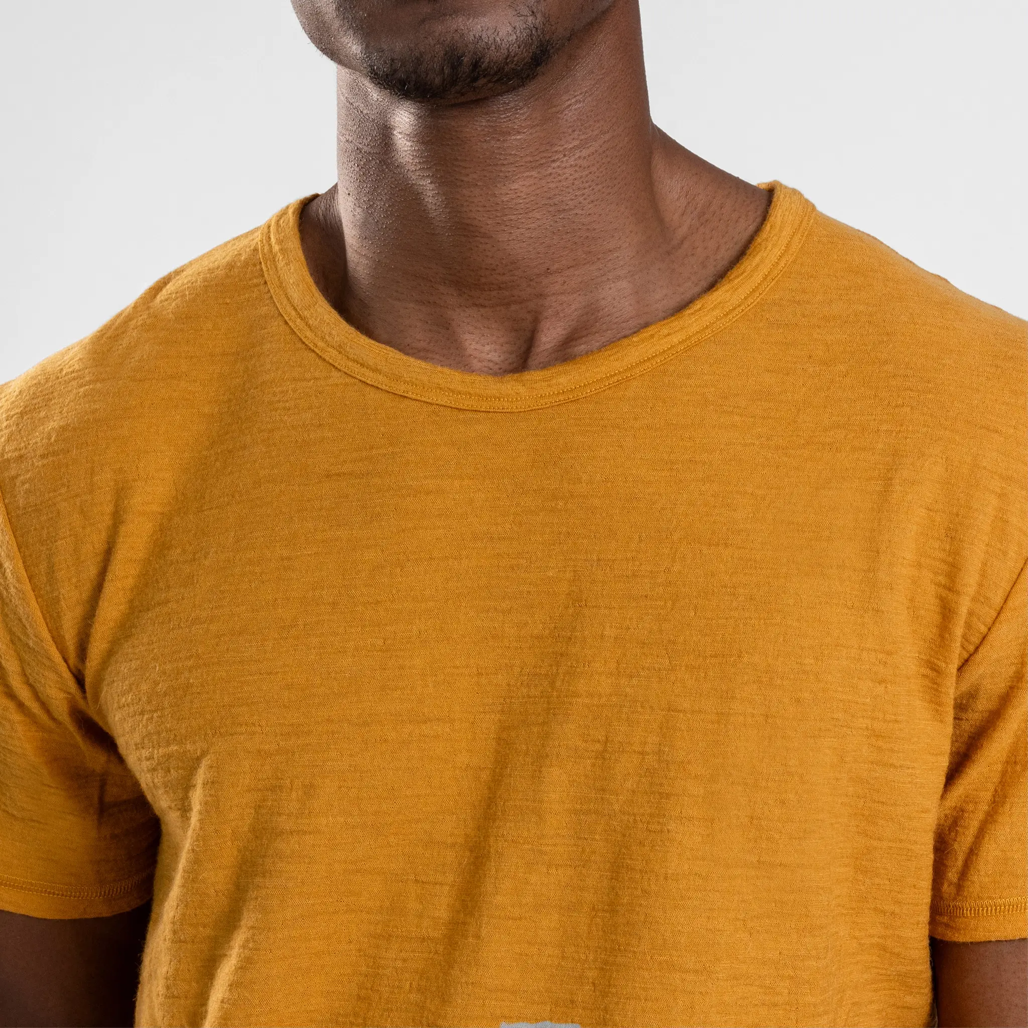 Men's Alpaca Wool T-Shirt: 160 Ultralight Crew Neck - Image 52
