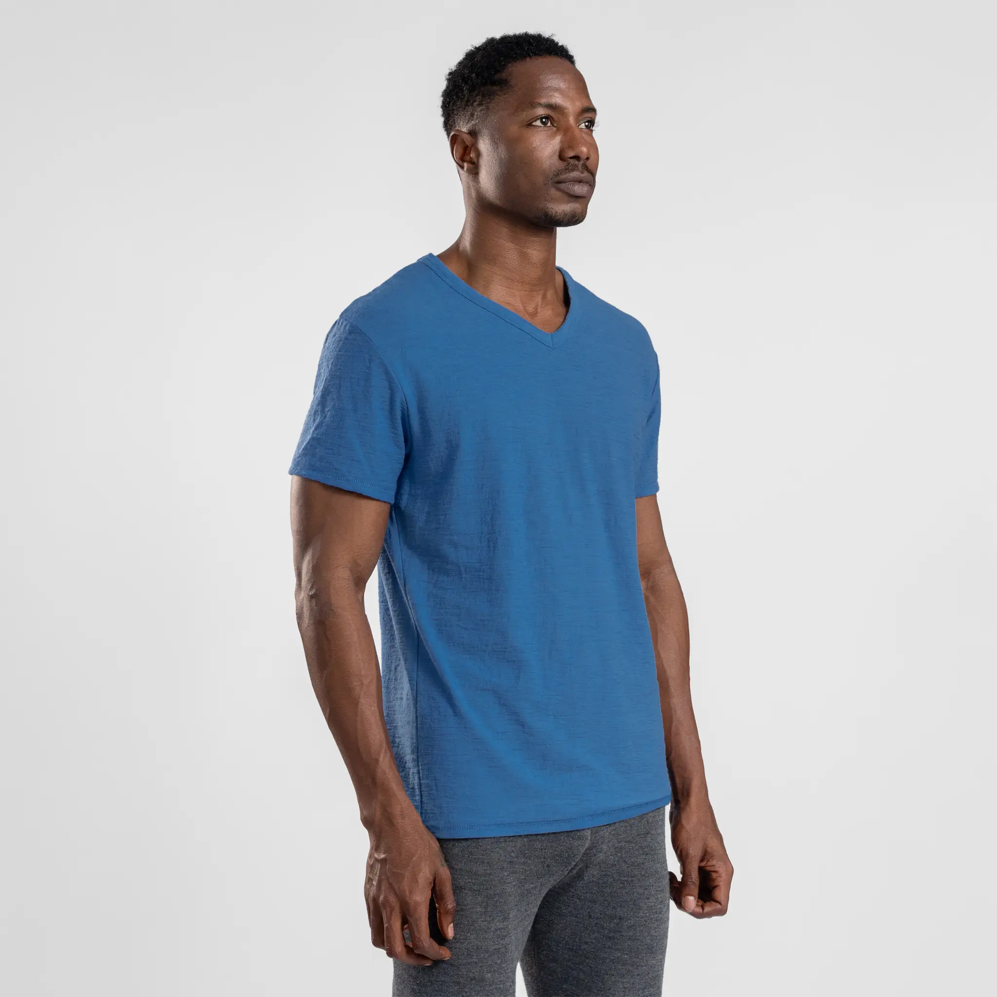 Men's Alpaca Wool T-Shirt: 160 Ultralight V-Neck - Image 14