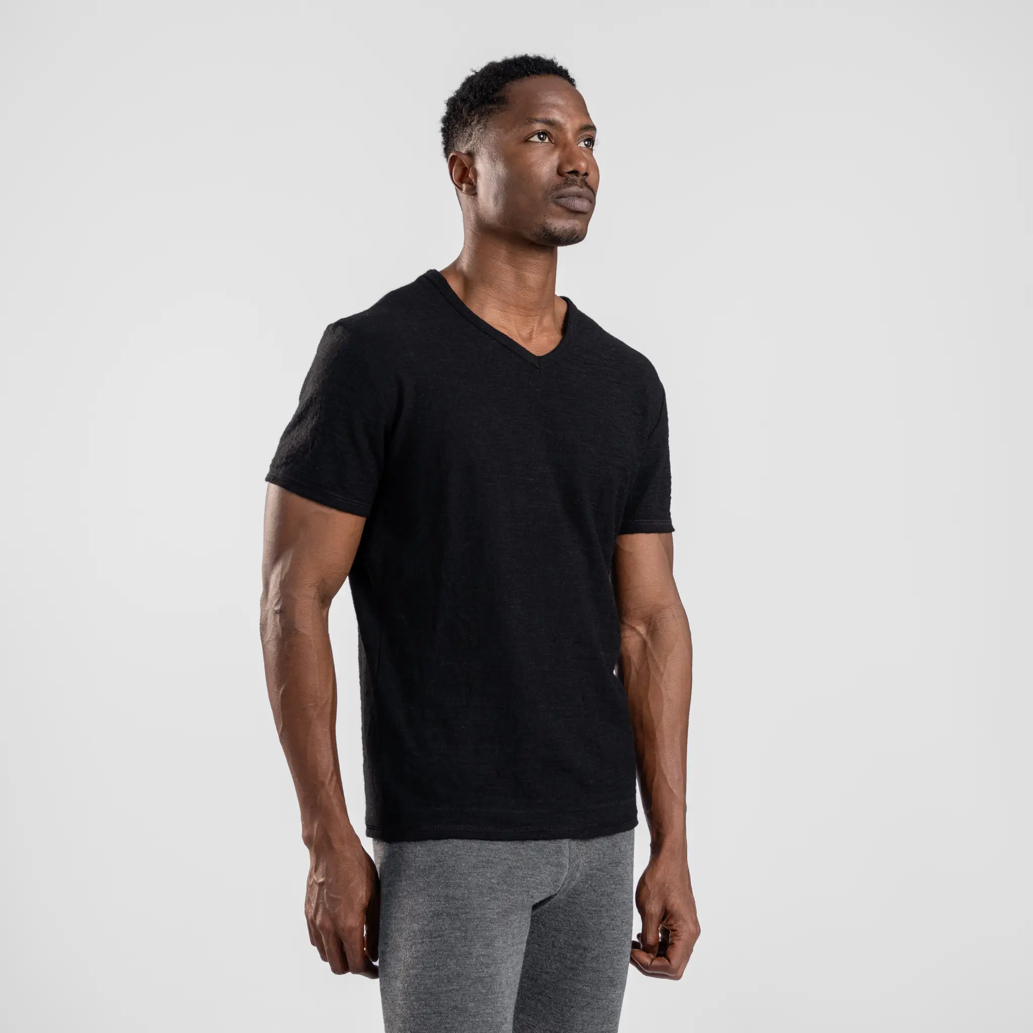 Men's Alpaca Wool T-Shirt: 160 Ultralight V-Neck - Image 18