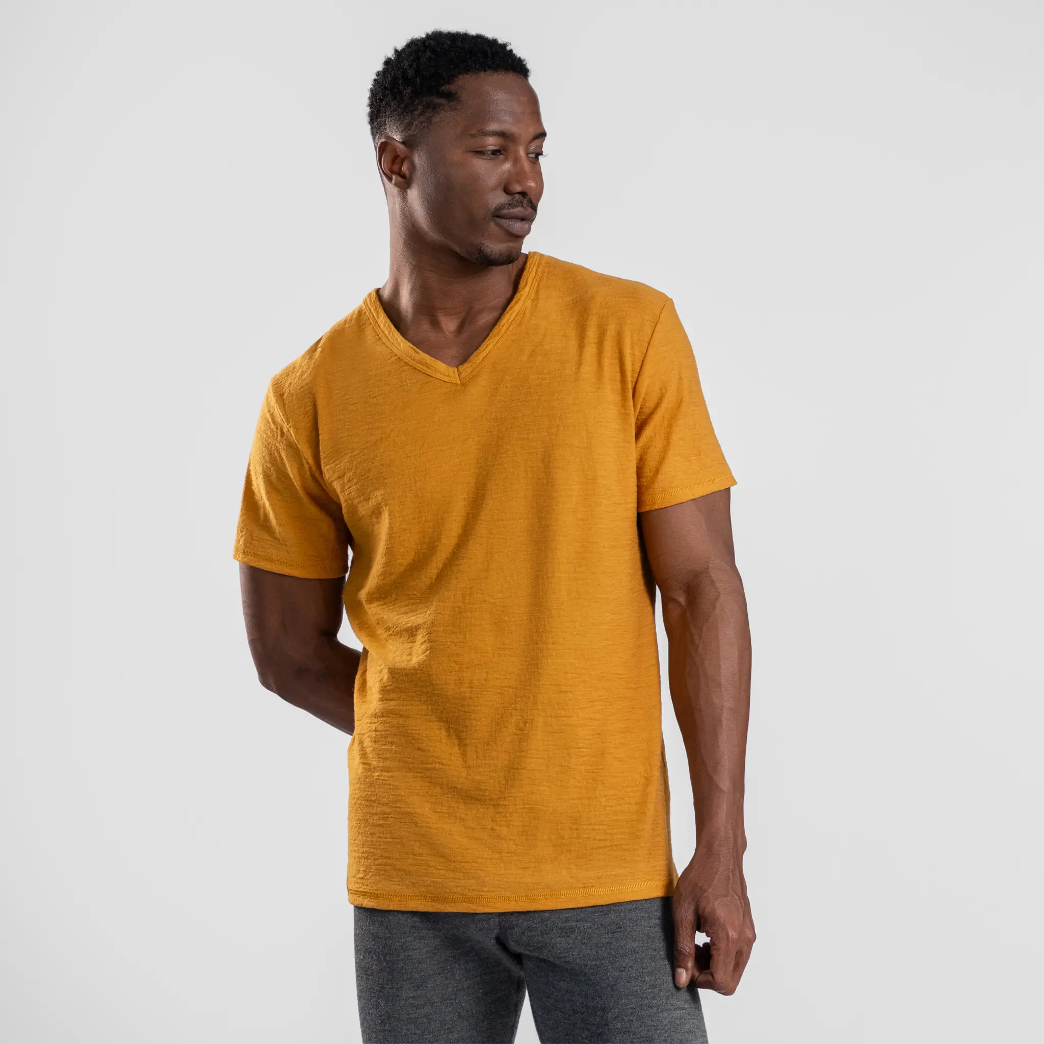 Men's Alpaca Wool T-Shirt: 160 Ultralight V-Neck - Image 44