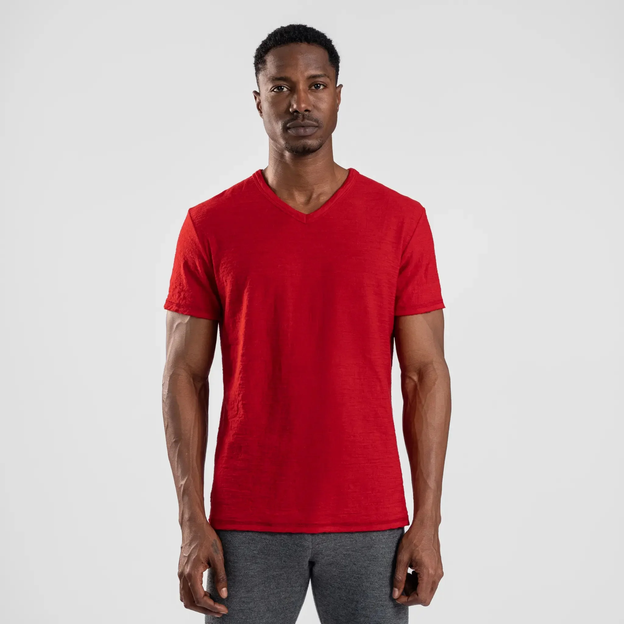 3 Pack Bundle - Men's Alpaca Wool T-Shirt: 160 Ultralight V-Neck - Image 28